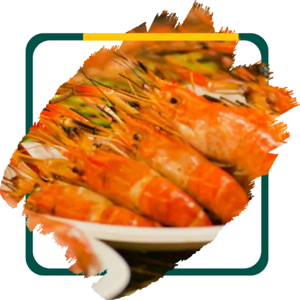 Prawns food